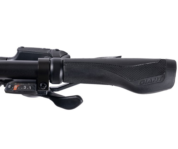 xe đạp điện touring Giant FASTER E+