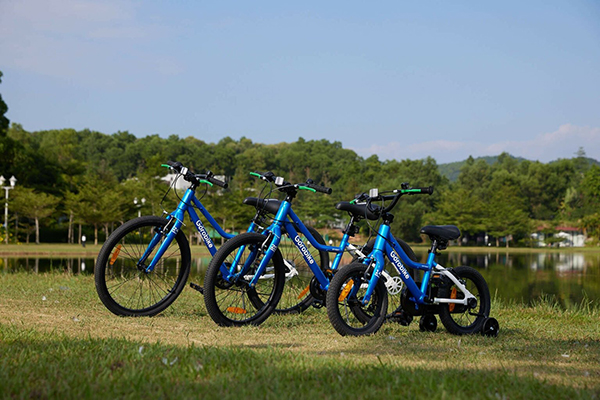 khung xe đạp trẻ em Gorobike City Plus 2