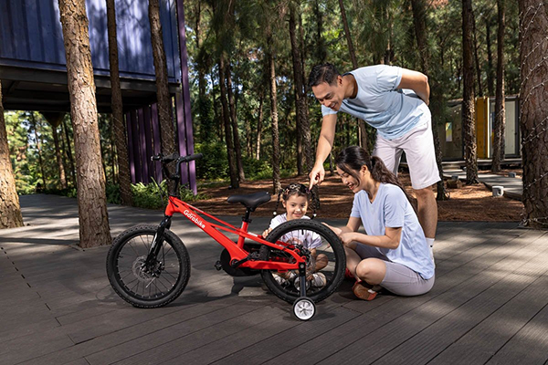 khung xe đạp trẻ em Gorobike Raptor 18
