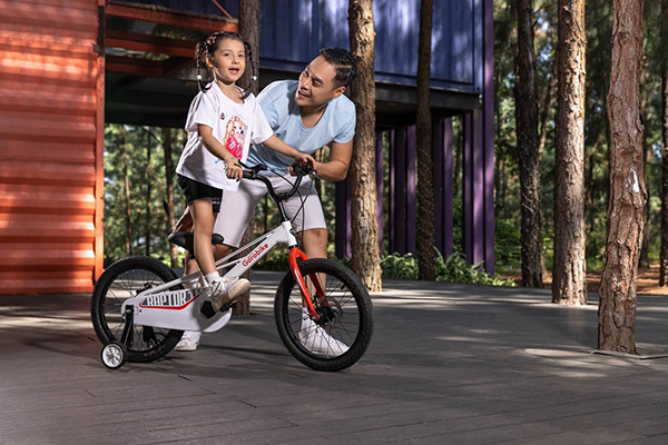 tay lái xe đạp trẻ em Gorobike Raptor 18