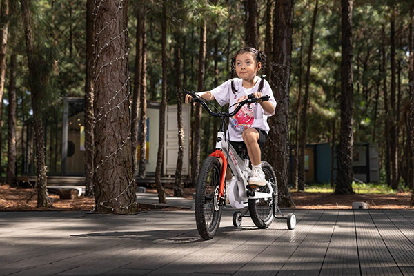 yên xe đạp trẻ em Gorobike Raptor 18