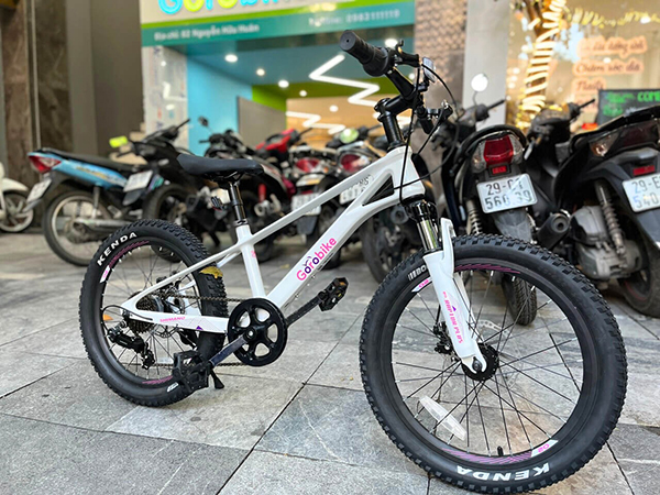 đùi đĩa  xe đạp trẻ em Gorobike Raptor Plus 20
