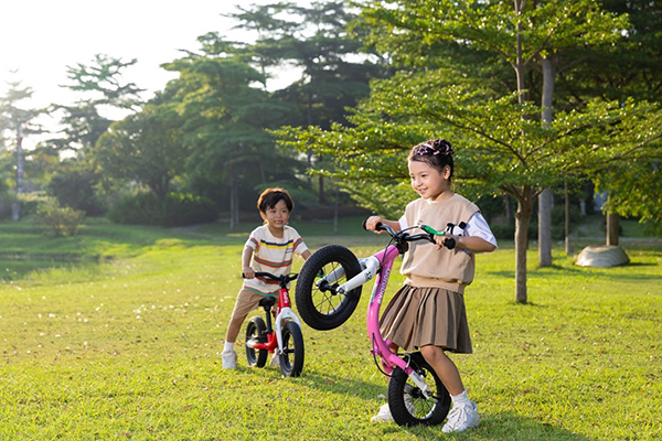xe thăng bằng Gorobike City Plus 1