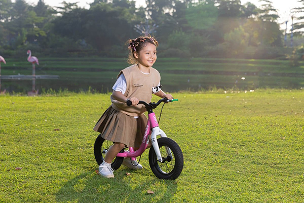 khung xe thăng bằng Gorobike City Plus 1