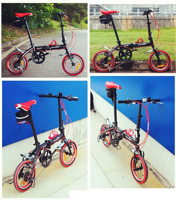 khung xe đạp gấp Hachiko HA-03