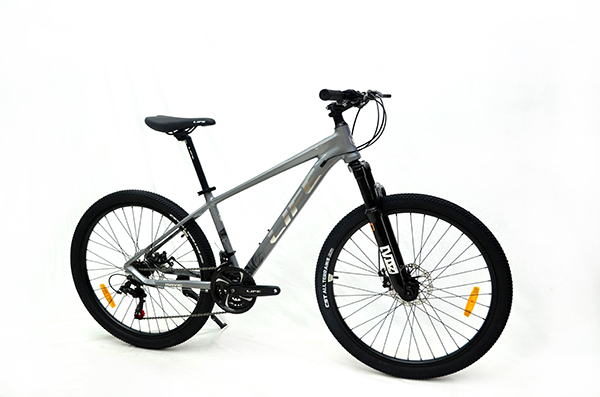 xe đạp địa hình thể thao Life MAVIC 1