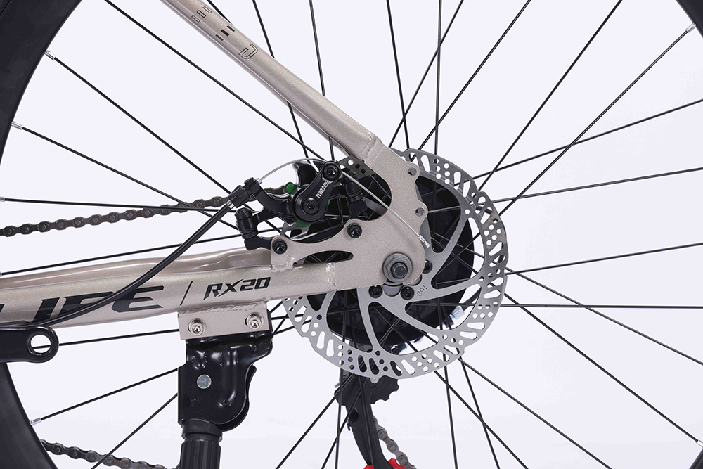 xe đạp đua Life RX20 10