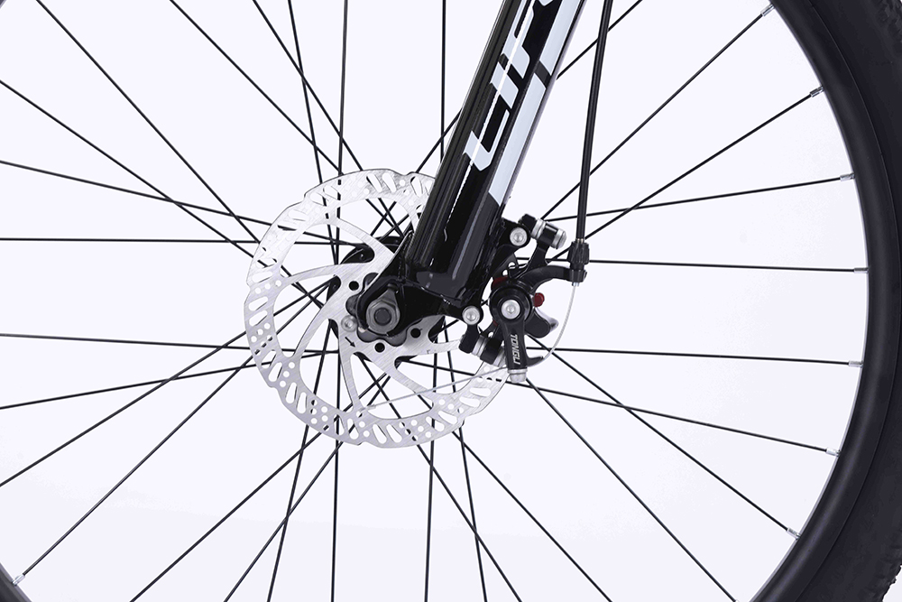 xe đạp địa hình thể thao Life MX900 10