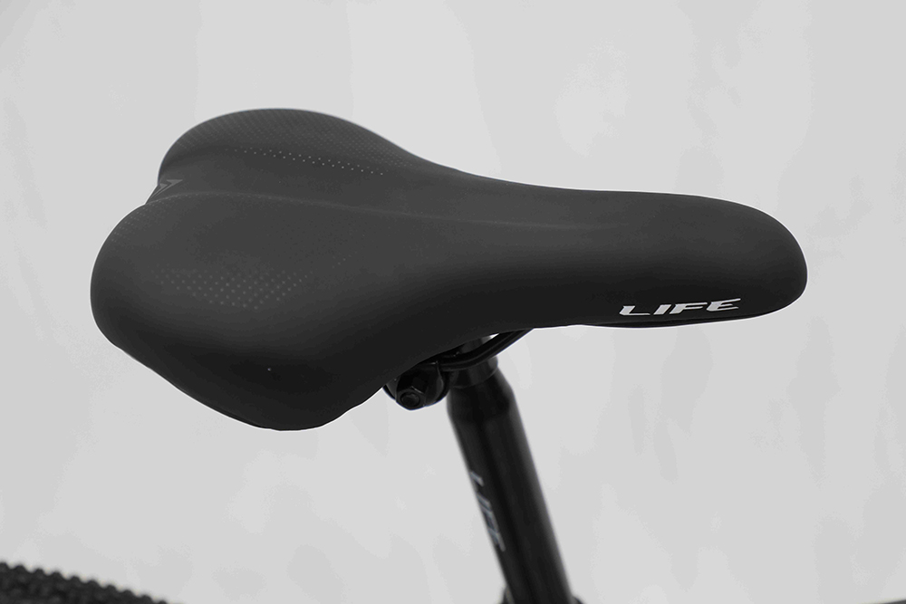 xe đạp địa hình thể thao Life MX900 12