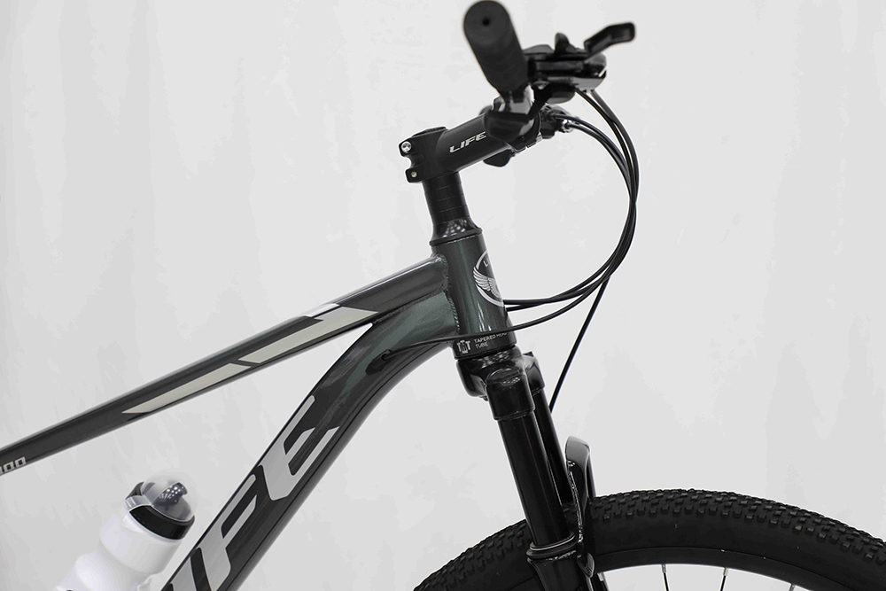 xe đạp địa hình thể thao Life MX900 2