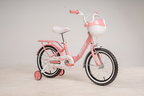 bánh trước xe đạp trẻ em MAX BARBIE