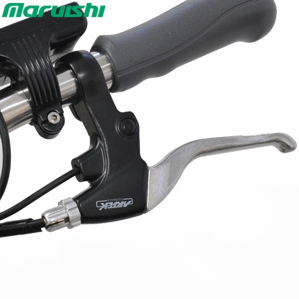 xe đạp điện trợ lực Maruishi Sportivo