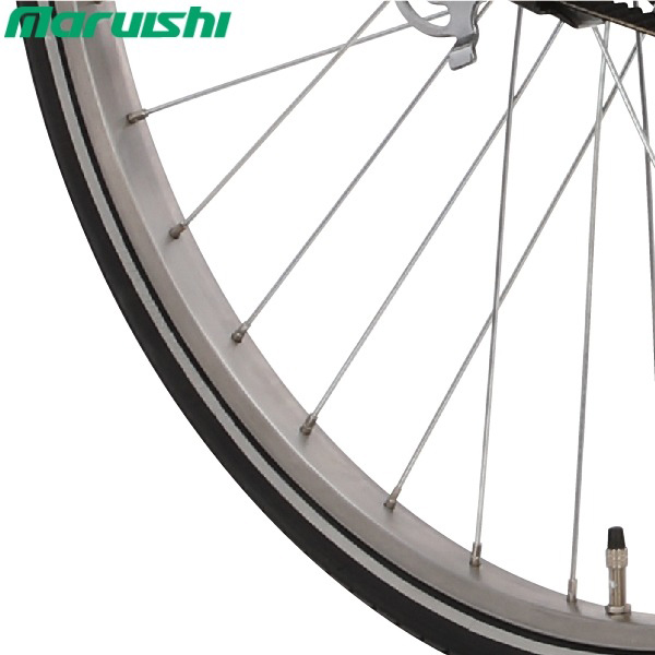 xe đạp mini trợ lực Maruishi View