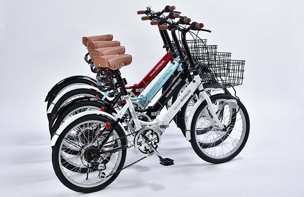 xe đạp gấp M204