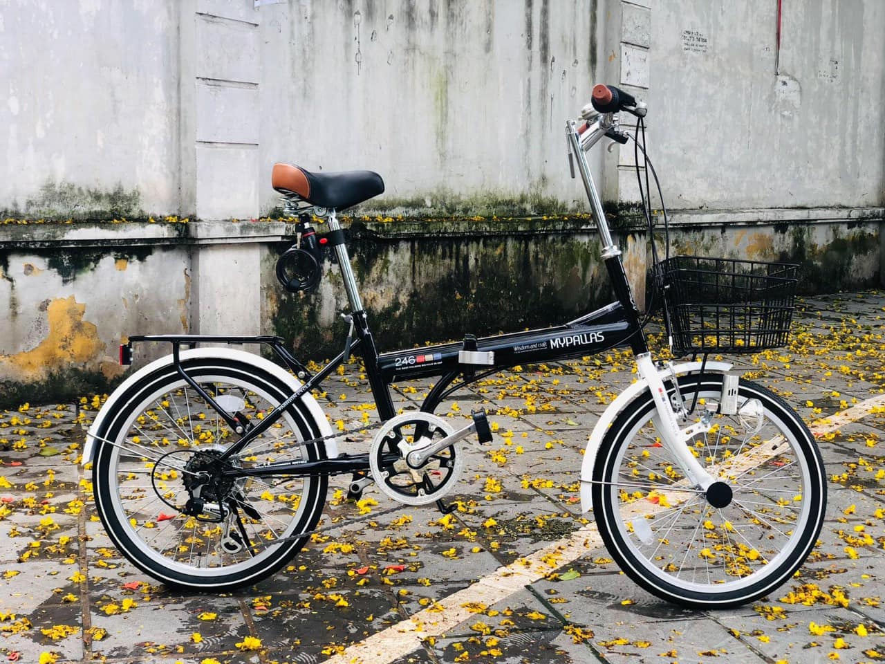 Mypallas M246 mầu Đen