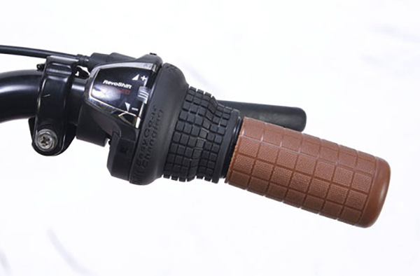 xe đạp gấp
