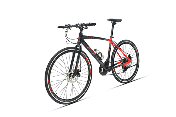 sườn xe đạp touring Papylus PT700