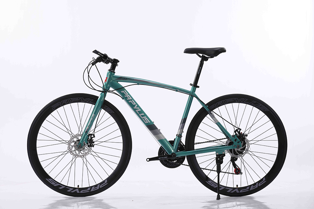 khung xe đạp touring Papylus PT500