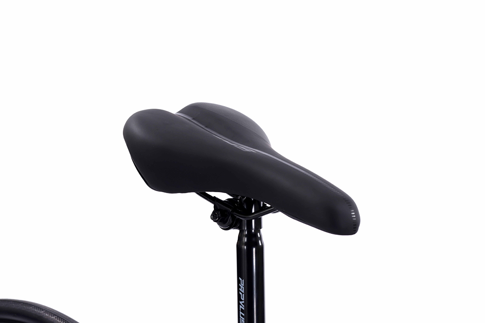 yên xe đạp touring Papylus PT500