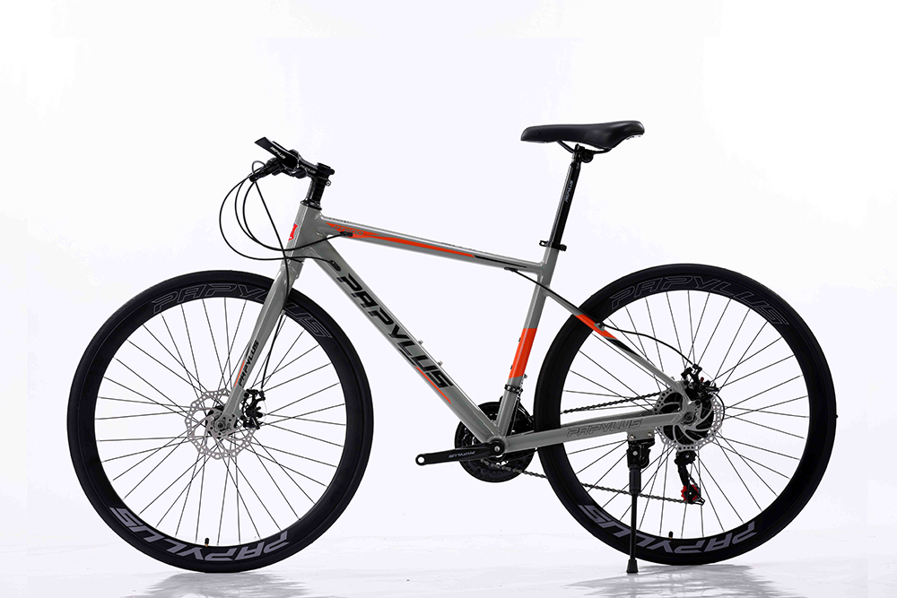 khung xe đạp touring Papylus PT600