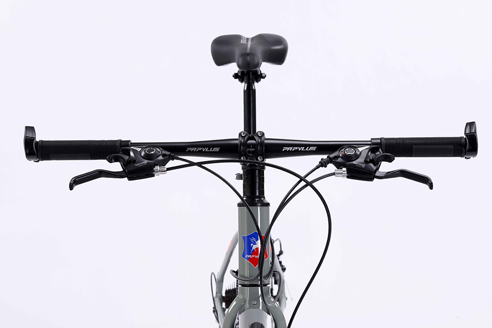 tay lái xe đạp touring Papylus PT600