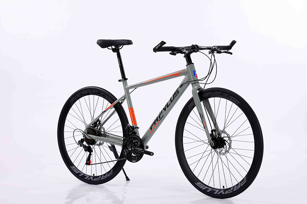phanh xe đạp touring Papylus PT600