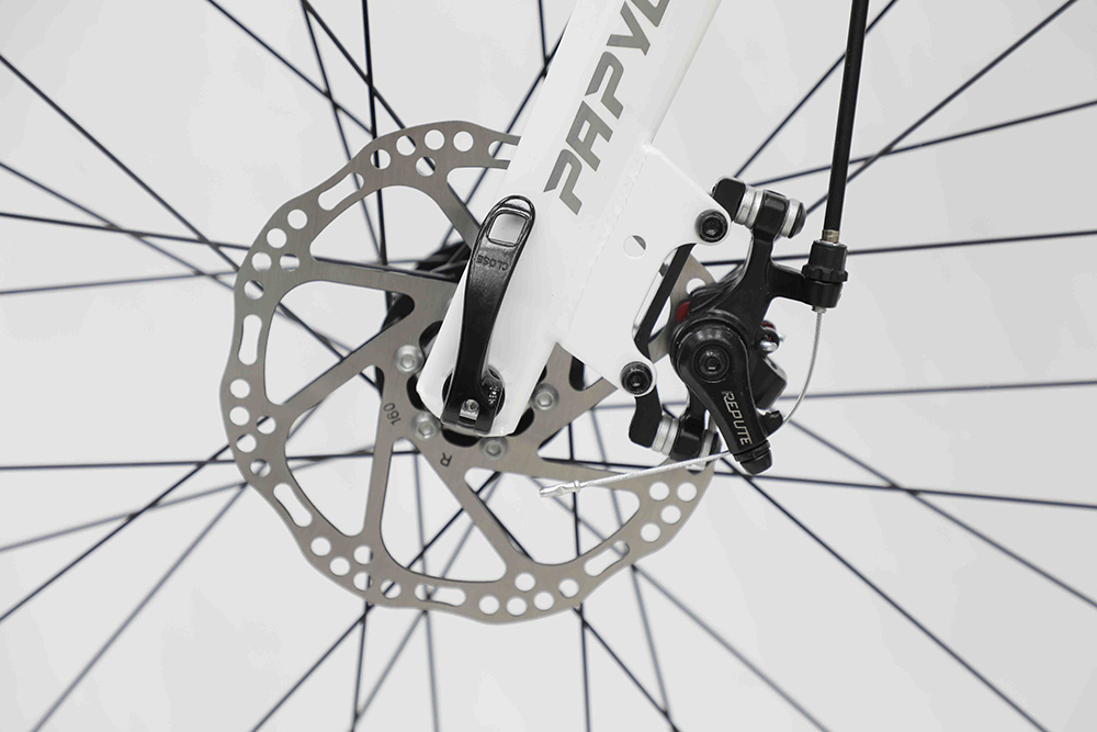 xe đạp đua Papylus PR900 New 10