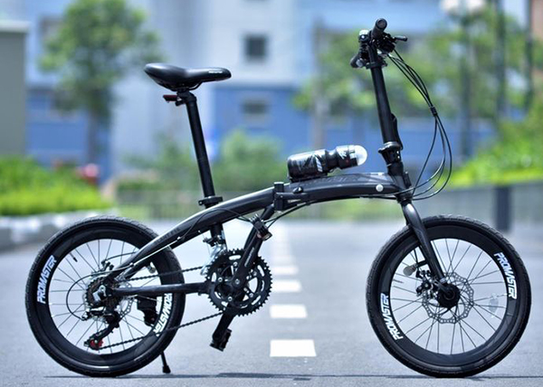 xe đạp gấp Promaster F16 ghi