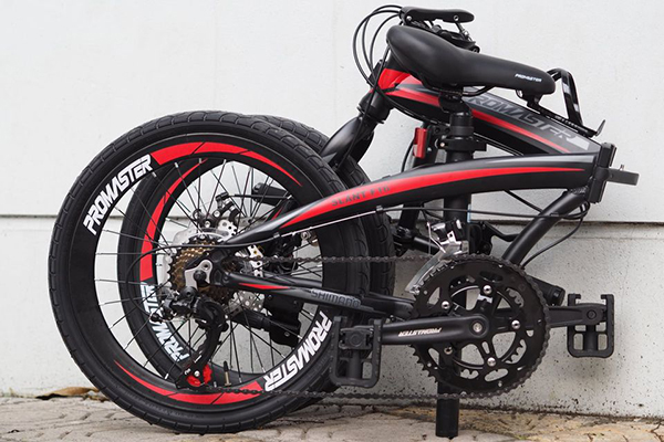 gấp gọn xe đạp gấp Promaster F16