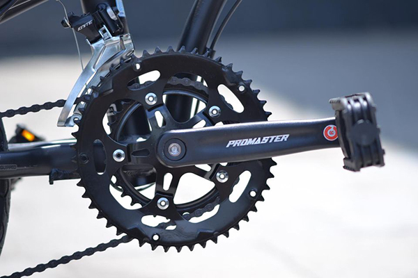 đùi đĩa xe đạp gấp Promaster F16