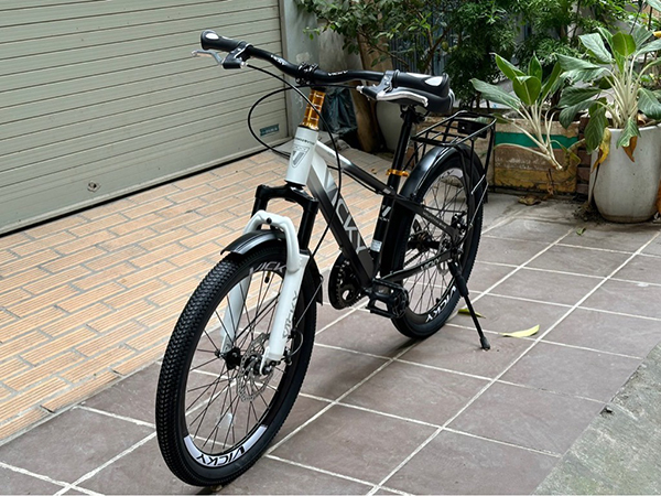 khung xe đạp trẻ em Vicky VIC122