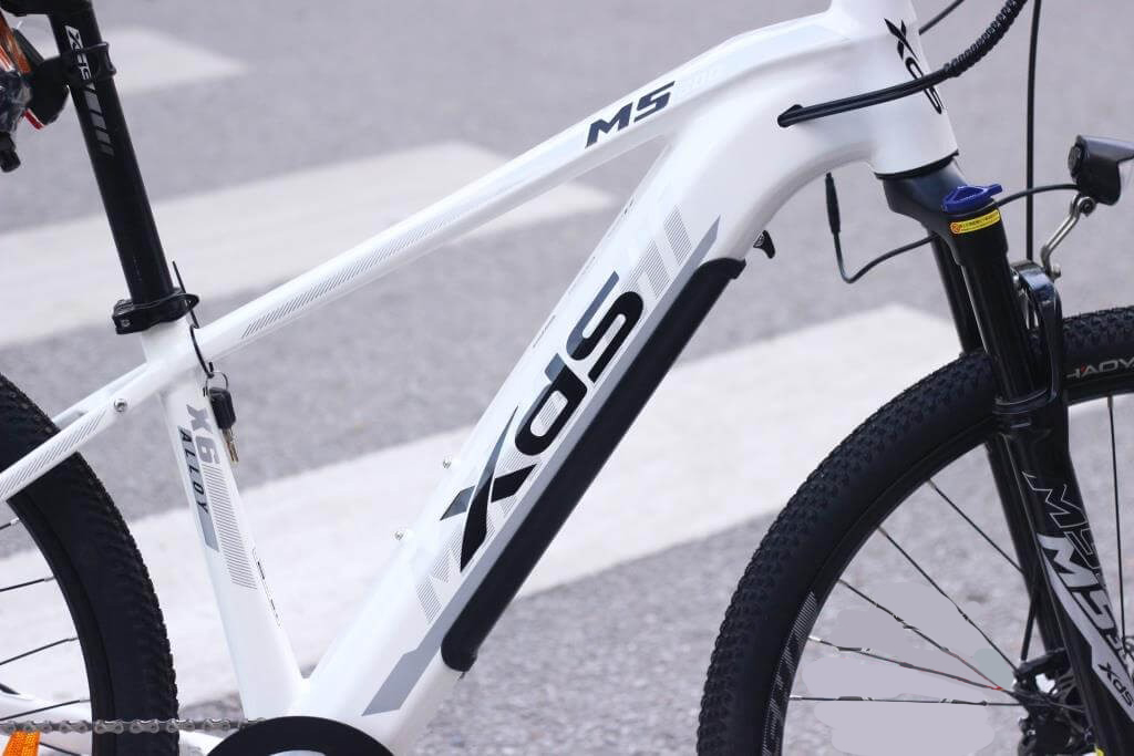 xe đạp điện địa hình XDS MS300