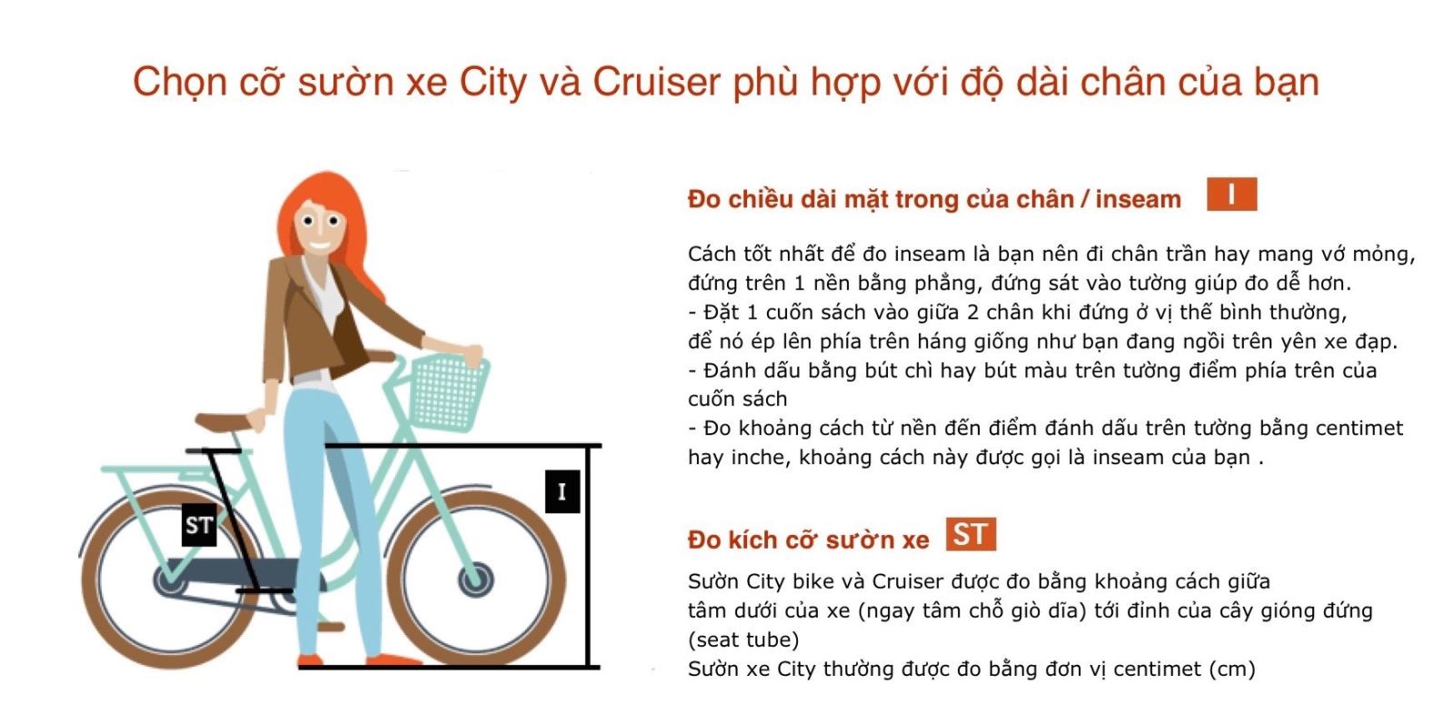 Khung sườn xe đạp đường phố