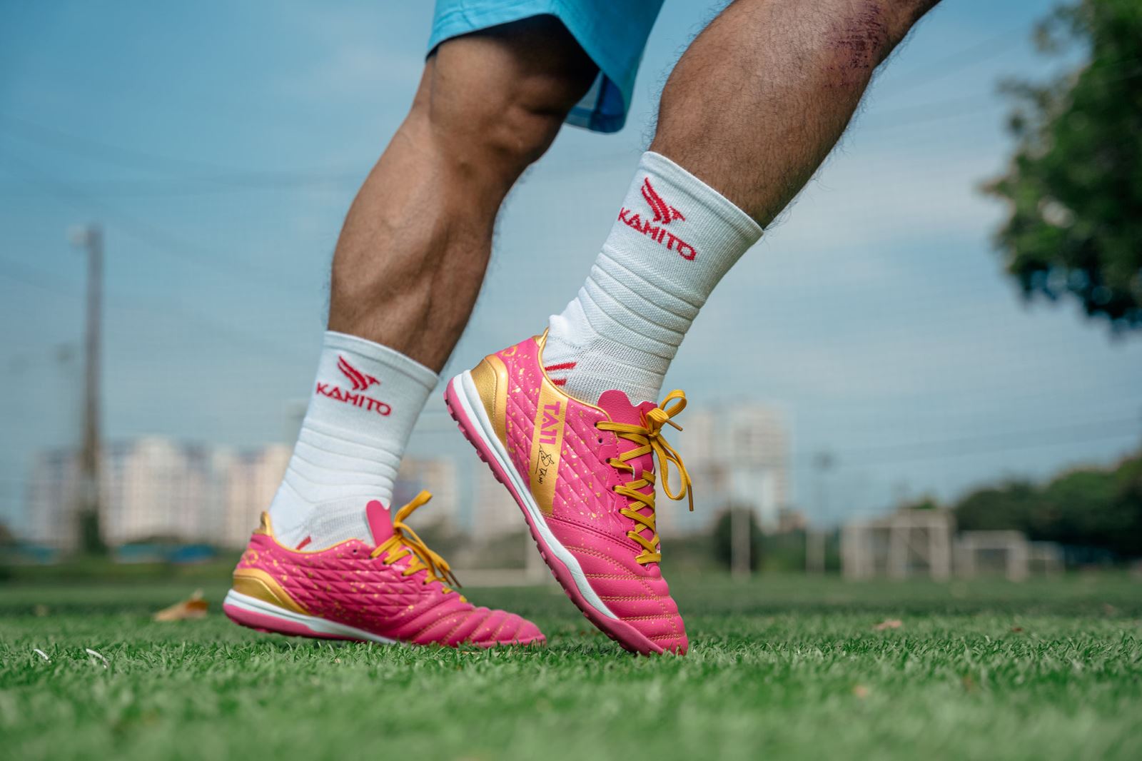 Giới thiệu chung