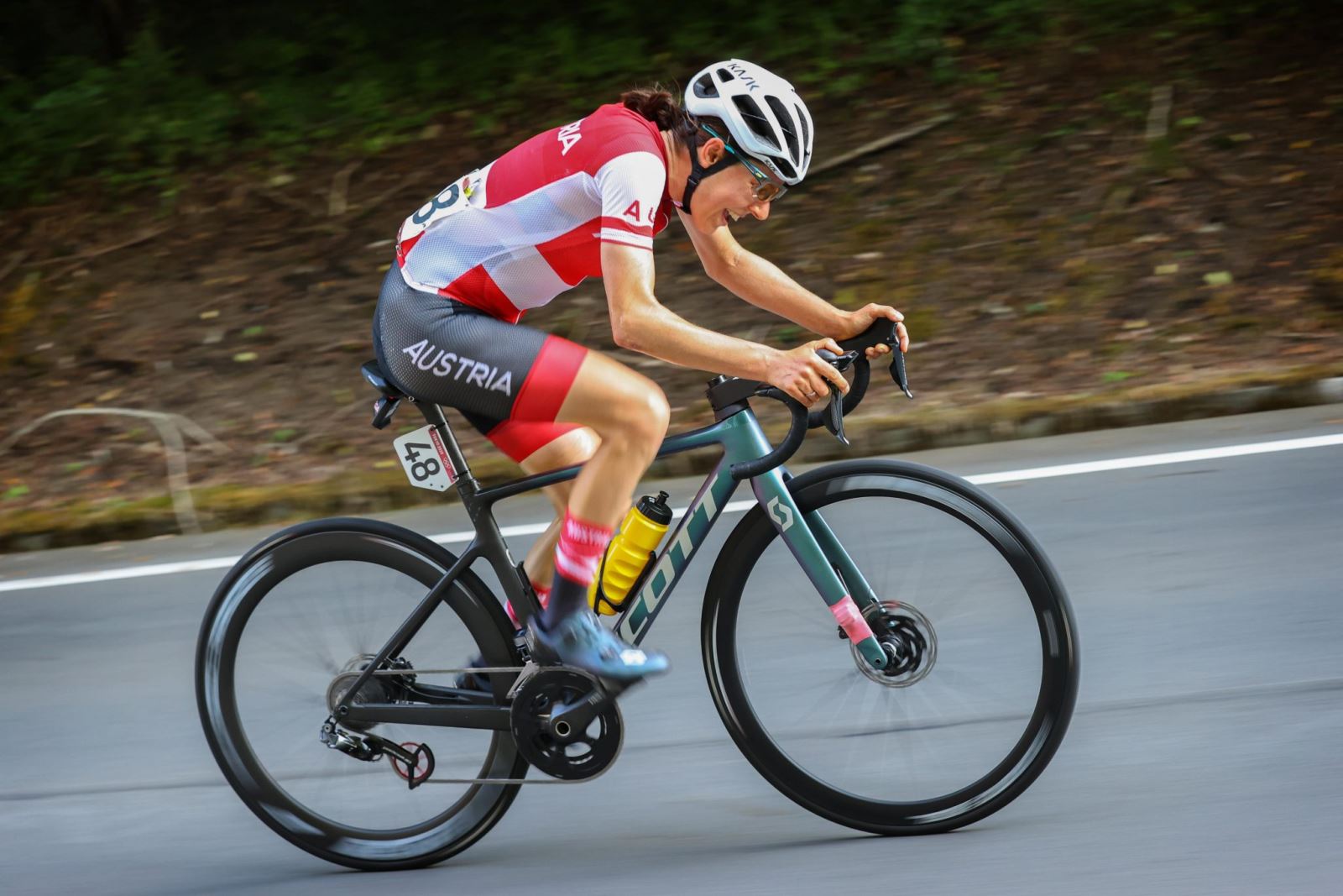 1. Giới thiệu chung