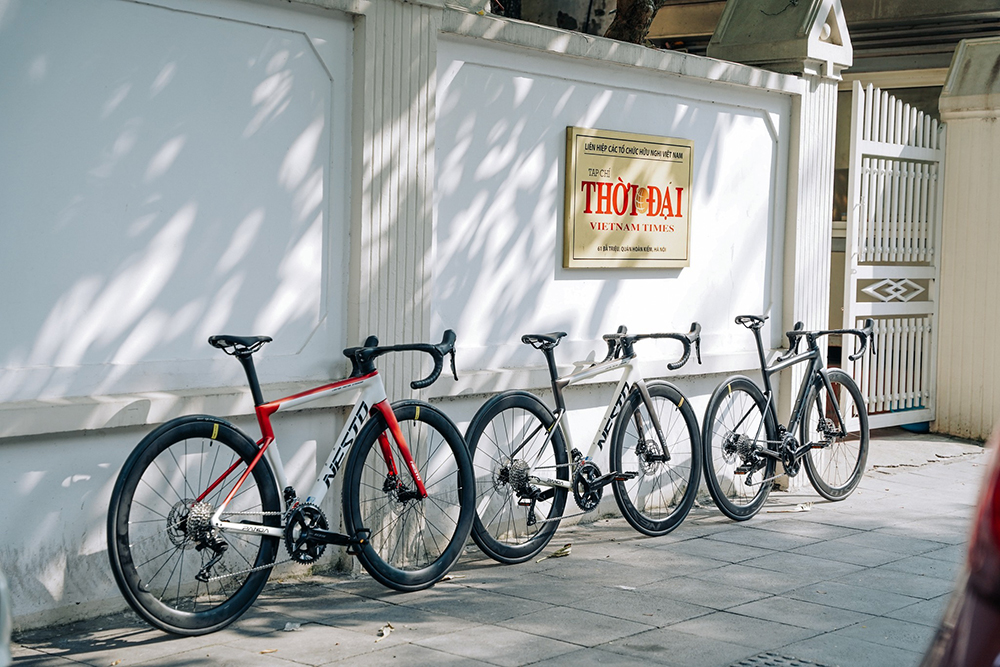 Kiểu dáng và màu sắc