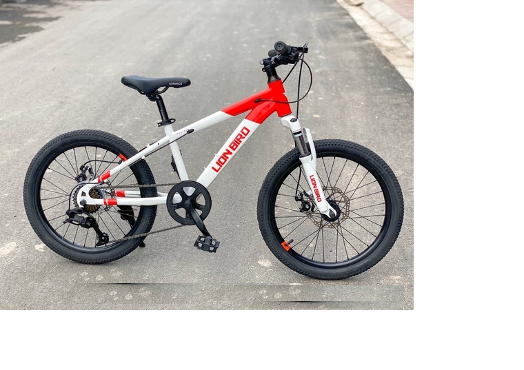 Lò xò trước của xe lionbird
