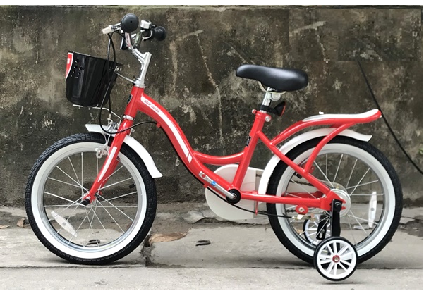 Đĩa và vành Xe đạp trẻ em Maruishi Dually